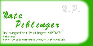 mate piblinger business card